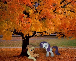 Size: 1280x1024 | Tagged: safe, artist:jrrhack, artist:perrohambre, artist:redpandapony, applejack, rarity, autumn, irl, leaves, photo, ponies in real life, tree, vector