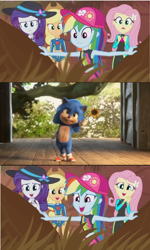 Size: 690x1149 | Tagged: safe, derpibooru import, applejack, fluttershy, rainbow dash, rarity, aww... baby turtles, better together, equestria girls, awww, baby, baby sonic, cute, sonic movie 2020, sonic the hedgehog, sonic the hedgehog (series)