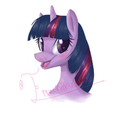 Size: 1000x900 | Tagged: safe, artist:swidgey, derpibooru import, twilight sparkle, solo, wtf