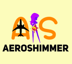 Size: 646x571 | Tagged: safe, artist:electrahybrida, derpibooru exclusive, sunset shimmer, equestria girls, rainbow rocks, acronym, aeroshimmer airways, airline, airlines, cutie mark, logo, plane, silhouette, story included, wat