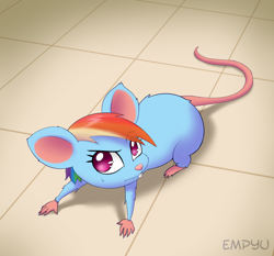 Size: 1000x933 | Tagged: safe, artist:empyu, derpibooru import, rainbow dash, rat, cute, looking at each other, looking at someone, looking at something, looking at you, mousified, rainbow mouse, raised eyebrow, rodent, solo, species swap