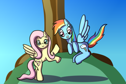 Size: 2048x1365 | Tagged: safe, artist:platinumdrop, derpibooru import, fluttershy, rainbow dash, pegasus, pony, female, hill, mare, tree