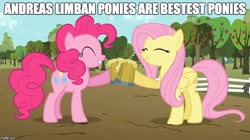 Size: 888x499 | Tagged: safe, fluttershy, pinkie pie, earth pony, pegasus, pony, best pony, female, mare, misspelling, wings