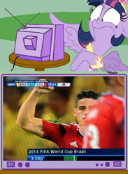 Size: 563x771 | Tagged: safe, derpibooru import, twilight sparkle, twilight sparkle (alicorn), alicorn, insect, pony, colombia, exploitable meme, female, football, grasshopper, james rodriguez, mare, meme, obligatory pony, tv meme, world cup