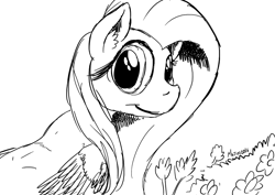 Size: 1169x826 | Tagged: safe, artist:darkhestur, fluttershy, pegasus, pony, female, looking at you, monochrome, sketch, solo