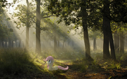 Size: 1920x1200 | Tagged: safe, artist:bryal, fluttershy, crepuscular rays, cute, filly, forest, frown, irl, looking up, photo, ponies in real life, prone, solo