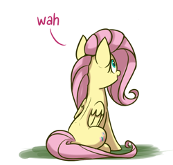 Size: 536x512 | Tagged: safe, artist:heir-of-rick, edit, fluttershy, pegasus, pony, dialogue, open mouth, simple background, sitting, solo, wah, white background