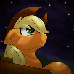 Size: 1000x1000 | Tagged: safe, artist:ushiro no kukan, applejack, earth pony, pony, female, mare, night, solo