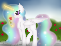 Size: 600x450 | Tagged: safe, artist:d-airinn, princess celestia, alicorn, pony, blushing, female, flower, levitation, magic, rose, solo, telekinesis