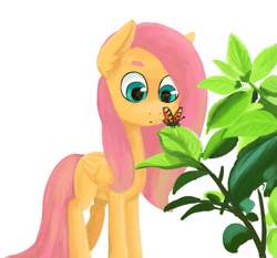 Size: 1035x966 | Tagged: safe, artist:nottex, fluttershy, butterfly, pegasus, pony, folded wings, looking at something, nature, simple background, solo, standing, white background