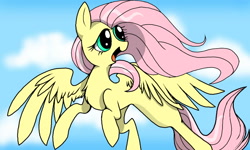 Size: 1600x960 | Tagged: safe, artist:pinkied1e, fluttershy, pegasus, pony, female, flying, mare, solo