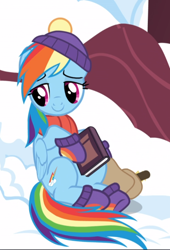 Size: 638x939 | Tagged: safe, derpibooru import, screencap, rainbow dash, pegasus, pony, tanks for the memories, book, clothes, cropped, cute, dashabetes, female, lidded eyes, mare, saddle bag, sitting, smiling, solo, winter outfit