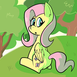 Size: 576x576 | Tagged: safe, artist:pembroke, fluttershy, pegasus, pony, female, flutterbutt, mare, solo