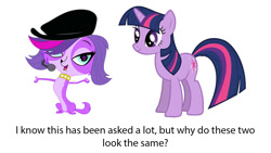 Size: 1400x788 | Tagged: safe, derpibooru import, twilight sparkle, image macro, meme, question, text, zoe trent