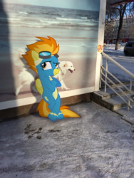 Size: 2448x3264 | Tagged: artist needed, safe, derpibooru import, spitfire, pony, irl, photo, ponies in real life, snow, solo, winter