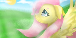 Size: 2000x1000 | Tagged: safe, artist:carolancho, fluttershy, butterfly, pegasus, pony, bust, floppy ears, insect on nose, looking at something, looking up, profile, solo, spread wings