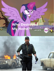 Size: 428x565 | Tagged: safe, derpibooru import, twilight sparkle, twilight sparkle (alicorn), alicorn, pony, badass, chuck norris, exploitable meme, female, hub logo, mare, meme, non-pony oc, who destroyed twilight's home