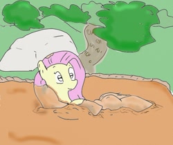 Size: 535x449 | Tagged: safe, fluttershy, pegasus, pony, color, female, mare, mud, solo