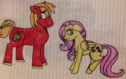 Size: 1024x645 | Tagged: safe, artist:pimpartist101, big macintosh, fluttershy, earth pony, pegasus, pony, fluttermac, lined paper, male, shipping, stallion, straight, traditional art