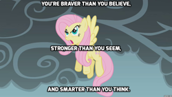 Size: 1280x720 | Tagged: safe, edit, edited screencap, screencap, fluttershy, pegasus, pony, dragonshy, image macro, meme, quote, winnie the pooh