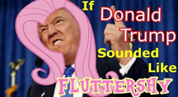 Size: 592x325 | Tagged: safe, fluttershy, human, donald trump, irl, irl human, photo, youtube link