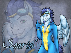 Size: 1024x768 | Tagged: safe, artist:clemikou, derpibooru import, soarin', anthro, stupid sexy soarin', wallpaper