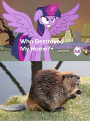 Size: 426x570 | Tagged: safe, derpibooru import, twilight sparkle, twilight sparkle (alicorn), alicorn, beaver, pony, exploitable meme, female, hub logo, mare, meme, who destroyed twilight's home