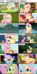 Size: 1282x2590 | Tagged: safe, edit, edited screencap, screencap, applejack, fluttershy, twilight sparkle, bird, blue jay, earth pony, pegasus, pony, rabbit, squirrel, a bird in the hoof, dragonshy, hurricane fluttershy, keep calm and flutter on, sonic rainboom (episode), stare master, the cutie mark chronicles, the return of harmony, the ticket master, blushing, caption, carrot, compilation, crying, cs captions, cute, discorded, female, filly, floppy ears, flutterbitch, fluttercry, flutterrage, flutteryay, foal, hiding, house finch, incarnations of, mare, mouth hold, nom, on back, pun, scared, shyabetes, sleeping, yay