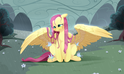 Size: 1550x930 | Tagged: safe, artist:aidapone, fluttershy, butterfly, pegasus, pony, female, mare, protecting, rain, sitting, smiling, solo, spread wings, wet mane, wing shelter