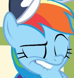 Size: 500x522 | Tagged: safe, derpibooru import, screencap, rainbow dash, pegasus, pony, flight to the finish, season 4, cropped, dreamworks face, eyebrows, eyes closed, faic, female, hat, lip bite, mare, out of context, rainbow dash is best facemaker, solo, teeth, unf