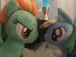 Size: 4032x3024 | Tagged: safe, derpibooru import, lightning dust, rainbow dash, pegasus, pony, irl, lava lamp, photo, plushie