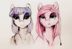 Size: 1140x781 | Tagged: safe, artist:buttersprinkle, maud pie, pinkie pie, earth pony, pony, duo, pinkamena diane pie, traditional art, unamused