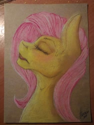 Size: 1620x2160 | Tagged: safe, artist:stirren, fluttershy, pegasus, pony, pastel, solo, traditional art