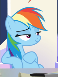 Size: 513x682 | Tagged: safe, derpibooru import, screencap, rainbow dash, pegasus, pony, sparkle's seven, cropped, female, friendship throne, lidded eyes, mare, raised eyebrow, sitting, slouching, smiling, smirk, solo