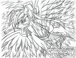 Size: 960x729 | Tagged: safe, artist:petanoprime, derpibooru import, lightning dust, rainbow dash, pegasus, pony, fusion, goggles, grin, monochrome, signature, smiling, solo, text, traditional art