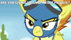 Size: 669x376 | Tagged: safe, derpibooru import, edit, edited screencap, editor:undeadponysoldier, screencap, spitfire, pegasus, pony, newbie dash, caption, clothes, discovery family logo, female, general, goggles, image macro, looking at you, mare, military, solo, spitfire is not amused, talking to viewer, text, tree, unamused, uniform, wonderbolts uniform