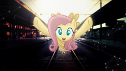 Size: 1920x1080 | Tagged: safe, artist:minhbuinhat99, artist:thatguy1945, artist:vashar23, fluttershy, human, pegasus, pony, coming at you, flying, glow, incoming hug, looking at you, open mouth, railroad, smiling, solo, train station, train tracks, underhoof, vector, wallpaper