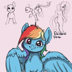 Size: 4000x4000 | Tagged: safe, artist:miokomata, derpibooru import, rainbow dash, earth pony, pegasus, pony, semi-anthro, bald, blushing, chest fluff, cute, dashabetes, female, floppy ears, looking at you, mare, simple background, sketch, white background