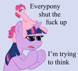 Size: 900x825 | Tagged: safe, artist:okiedokielowkey, derpibooru import, pinkie pie, twilight sparkle, earth pony, pony, artifact, colored, hat, image macro, meme, ponified, stfu, thinking, vulgar