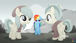 Size: 1334x750 | Tagged: safe, derpibooru import, screencap, barley barrel, pickle barrel, rainbow dash, pegasus, pony, rainbow roadtrip, barrel twins, butt, colt, female, filly, male, mare, plot, siblings, twins