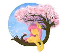 Size: 1157x1000 | Tagged: safe, artist:shiropoint, fluttershy, bird, pegasus, pony, cherry blossoms, solo, tree