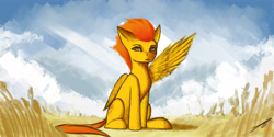 Size: 4000x2000 | Tagged: safe, artist:xaski21, derpibooru import, spitfire, pony, cloud, field, one wing out, signature, sitting, sky, solo, wings