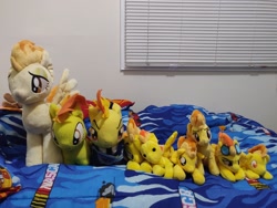 Size: 2048x1536 | Tagged: safe, derpibooru import, photographer:lyokotravels, spitfire, pony, collection, irl, multeity, photo, plushie, spitferno