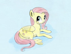 Size: 800x608 | Tagged: safe, artist:el-yeguero, fluttershy, pegasus, pony, female, mare, pink mane, solo, yellow coat