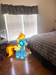 Size: 3024x4032 | Tagged: safe, derpibooru import, photographer:undeadponysoldier, spitfire, pegasus, pony, augmented reality, bed, bedroom, clothes, female, gameloft, irl, mare, photo, ponies in real life, solo, uniform, window, wonderbolts uniform