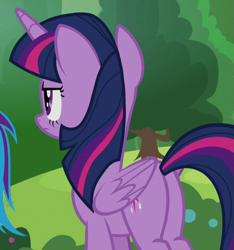 Size: 619x662 | Tagged: safe, derpibooru import, screencap, rainbow dash, twilight sparkle, twilight sparkle (alicorn), alicorn, pegasus, pony, 2 4 6 greaaat, butt, cropped, plot