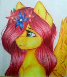 Size: 1153x1316 | Tagged: safe, artist:sweesear, edit, fluttershy, pegasus, pony, drawing, female, flower, flower in hair, green eyes, looking away, mane, pink mane, solo, spread wings, traditional art, wings