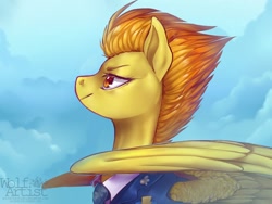 Size: 1024x772 | Tagged: safe, artist:scribblewoof, derpibooru import, spitfire, pegasus, pony, bust, clothes, cloud, female, mare, portrait, profile, sky, solo, uniform, wonderbolts dress uniform