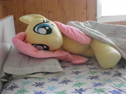 Size: 1984x1488 | Tagged: safe, artist:qtpony, fluttershy, bed, irl, life size, photo, plushie, solo