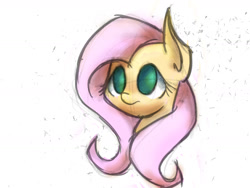 Size: 1600x1200 | Tagged: safe, artist:spontaneouspotato, fluttershy, pegasus, pony, female, mare, sketch, solo